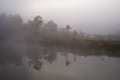 04 - Misty Marsh
