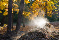 07 - Steam from Wood Chips