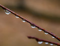 22 - Raindrops in a Row