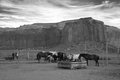 30A - Horses