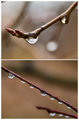 02 - Raindrops
