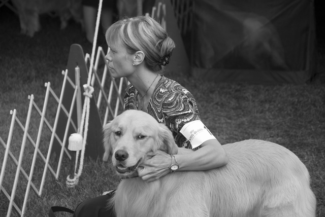 7 - At the Dog Show