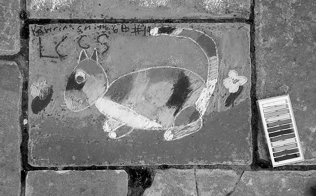 18 - Chalk Cat