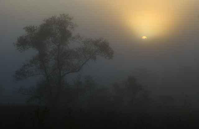 17 - Misty Sunrise