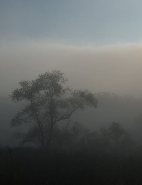 18 - Morning Mist