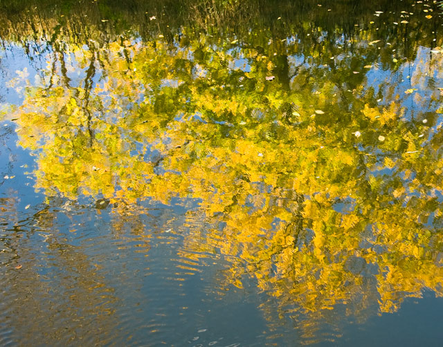 21 - Reflection