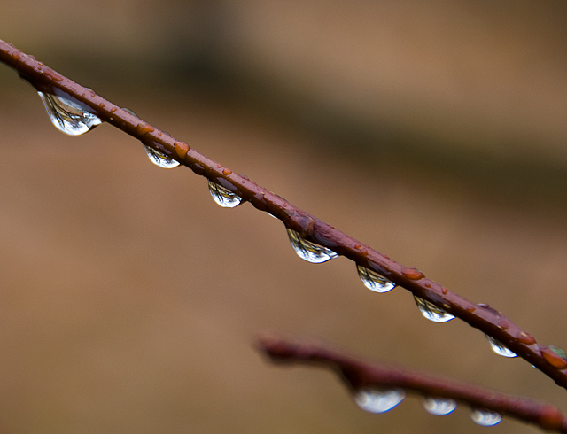22 - Raindrops in a Row
