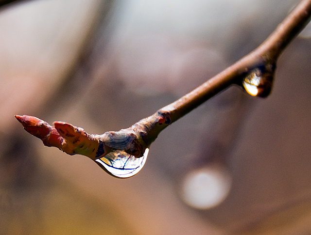 25 - Water Drop