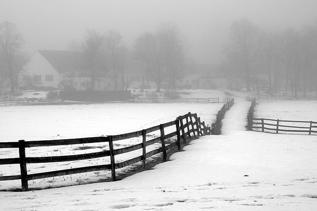 09 - Stables in the Fog