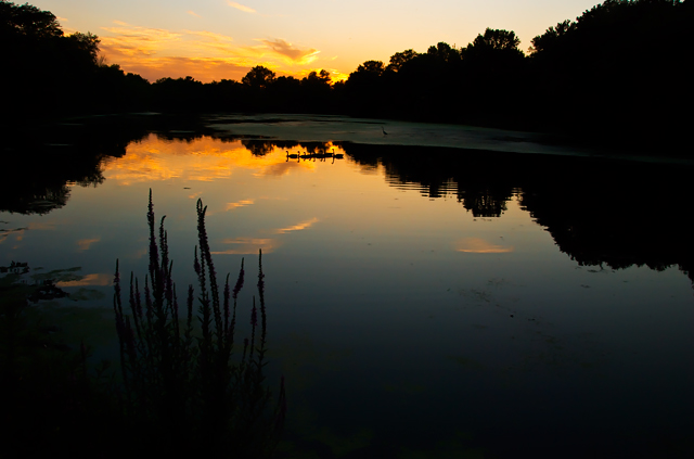 D01 Lake at Sunset