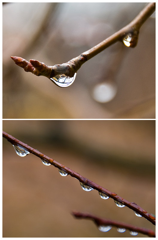 02 - Raindrops