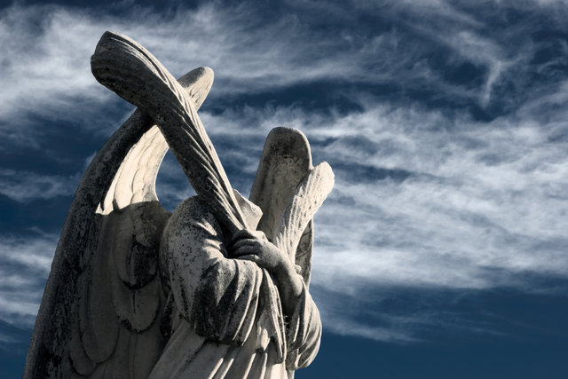 Fallen Angel