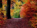 Autumn.jpg