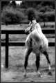 Apprehension