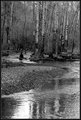 Solitary