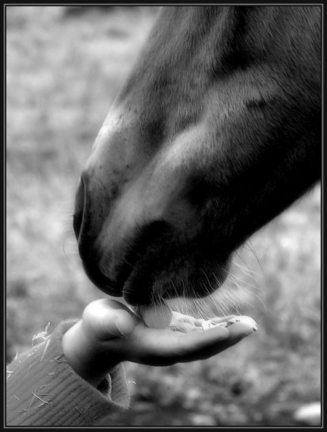 The Offering
