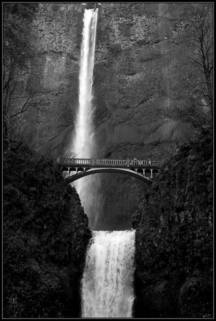 Photographer's Dream