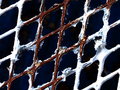 Texture 1 Day 26.jpg