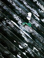 Texture 2 Day 26.jpg