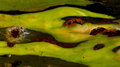 Texture 3 Day 30.jpg