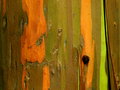Texture 4 Day 30.jpg