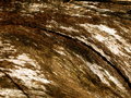 Texture 6 Day 30.jpg
