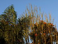 AM Light in the trees Day 8.jpg