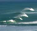Big waves in the bay