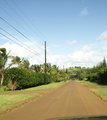 Country Road in Kilauea Day 23