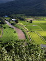 Hanalei River Valley Day 30