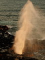Spouting Horn - Day 9