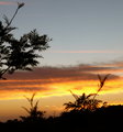 Sunset near Kokee - Day 28