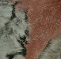 Floated Marble - Day 19