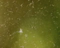 Dirty Window - Day 20