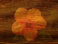 Hibiscus Sand Palm - Overlay 24