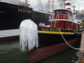 Peking at Helen McAllister's Bow