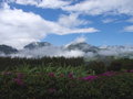 View from the office