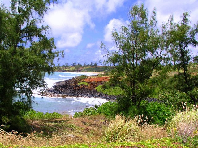 Near Donkey Beach Enhanced.jpg