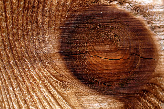 Texture 3 Day 1.jpg