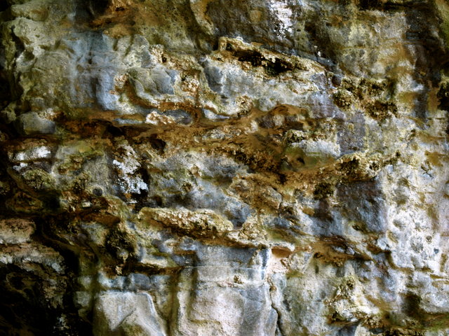 Texture 2 Day 2.jpg