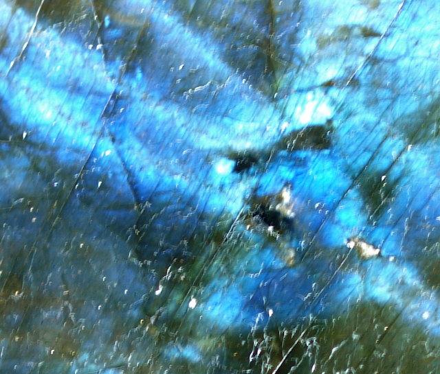 Bird detail T 1 Day 3.jpg