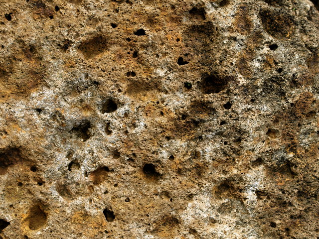Texture 2 Day 6.jpg