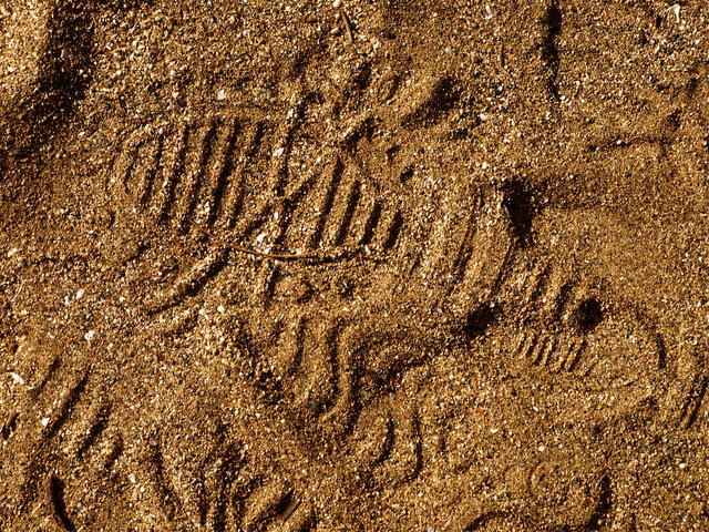 Texture 4 Day 10.jpg