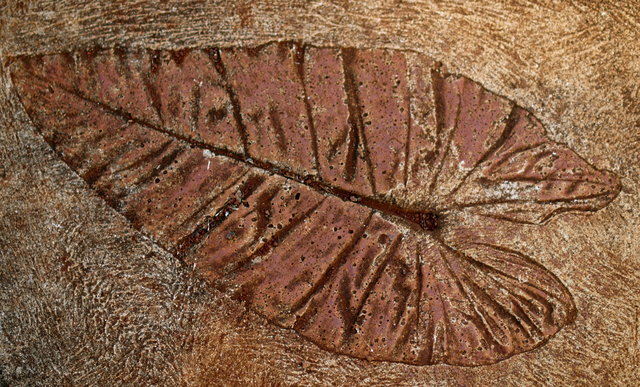 texture 7 Day 10.jpg