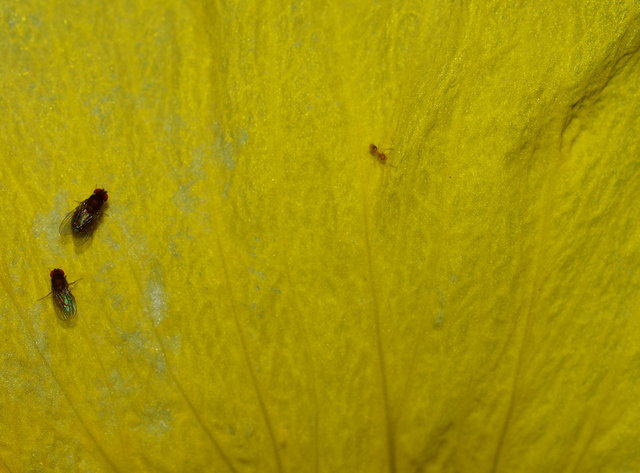 Texture 5 Day 17.jpg