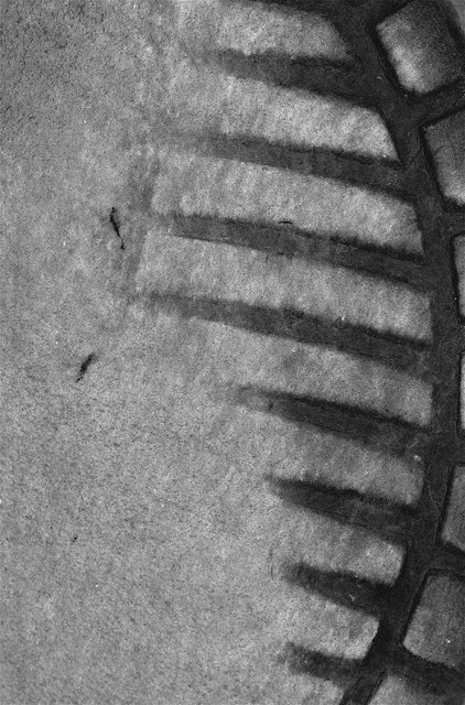 Texture 4 Day 23.jpg