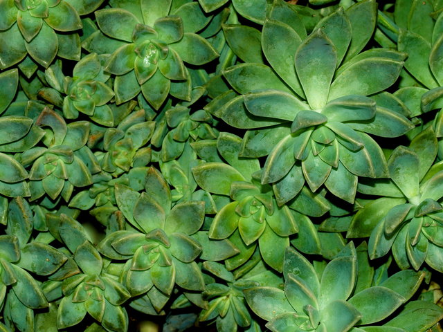 Texture 1 Day 24.jpg