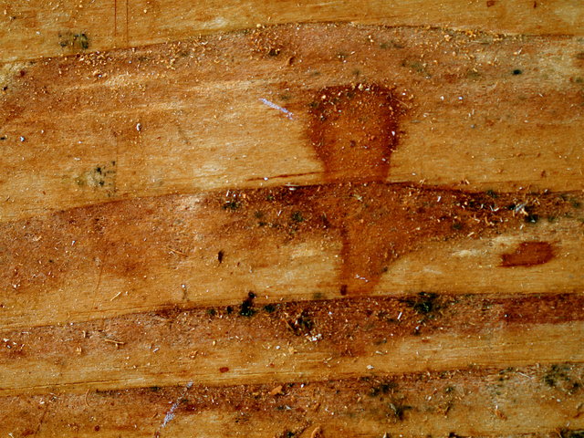Texture 3 Day 25.jpg