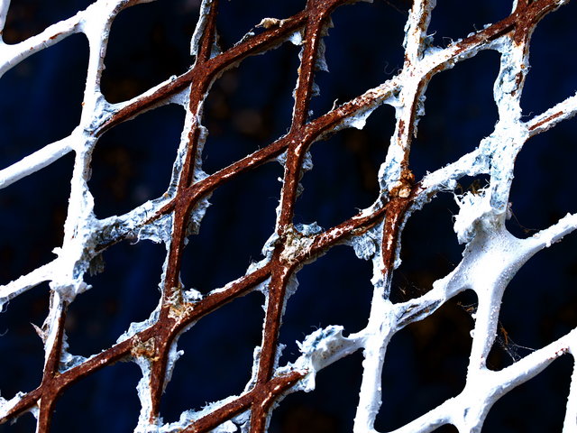 Texture 1 Day 26.jpg