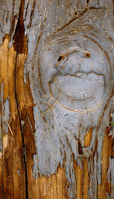 Texture 4 Day 27.jpg